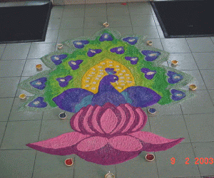 Peacock in Lotus