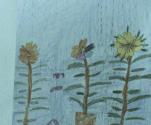 Rangoli: Rain and Flowers