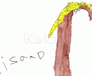 Lizard