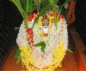 Rangoli: Utthana Dvadasi or Tulsi (Pooja) Vivaha