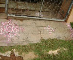 Rangoli: kolams for navratri