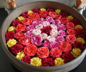 Rangoli: Pookolam