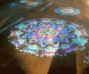 Rangoli: Pongal Kolam