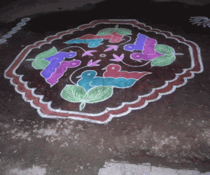 Rangoli: Ducks