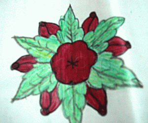 Rangoli: flower
