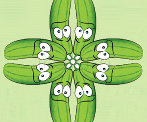 Rangoli: Cool Cucumbers!