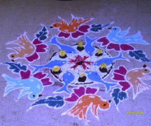 Rangoli: sirakadikkum paravaikalum Thullum meenkalum
