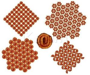 Rangoli: muruku and half-muruku - yummy :-) 