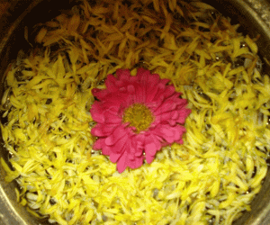 Rangoli: Greetings