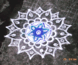 Rangoli: Cyanocrocus