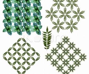 Rangoli: Herbs for Veggie patch