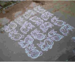 Rangoli: Rabbit kolam