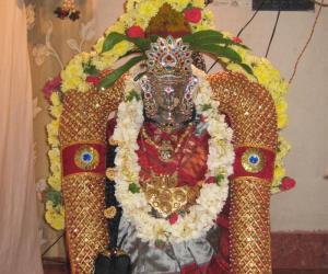 Kolu Arrangement and Kalasha Alankaram