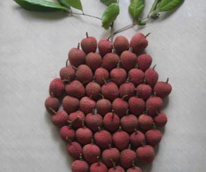 Rangoli: Litchi rangoli 