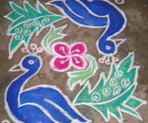 Rangoli: peacock kolam