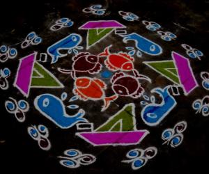 Rangoli: blue whales - cruise