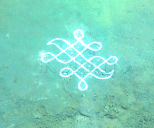 Rangoli: Sikkal Kolam