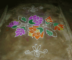 Rangoli: Kolams for all seasons