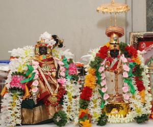 Golu Marapachi Doll
