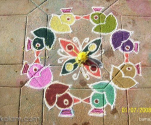 Birds