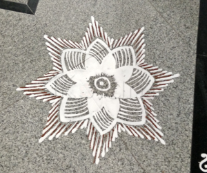 Blooming lotus