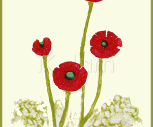 Poppies