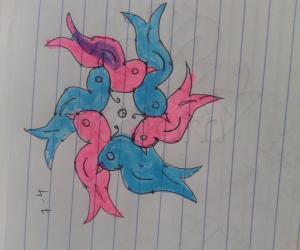 colourful birds