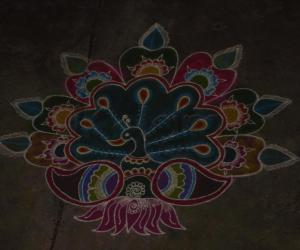 Rangoli: margazhi rangoli