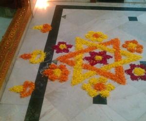 Star flowers