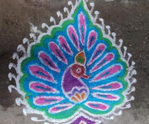 Freehand peacock