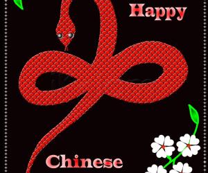Rangoli: Chinese New year