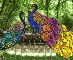 Pair of Peacocks