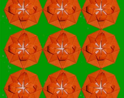 Rangoli: Origami flower star