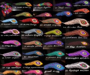 2018- Magazhi Kolams- all feathers together