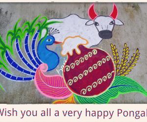 Happy Pongal