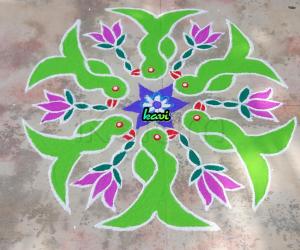 Parrot kolam 