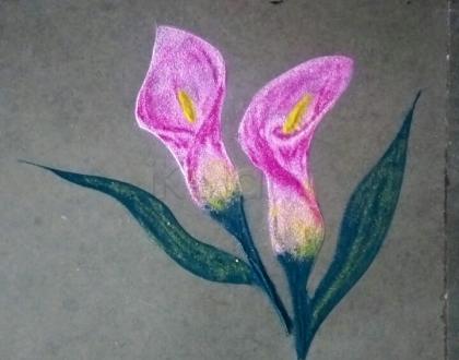 Pink Calla lilies