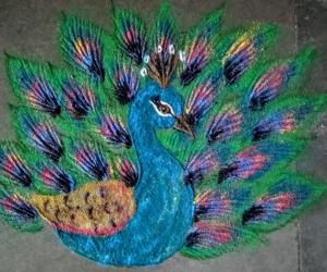 Peocock