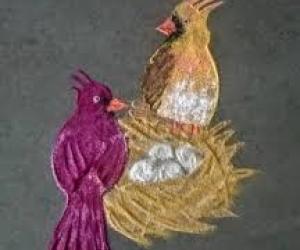 Birds