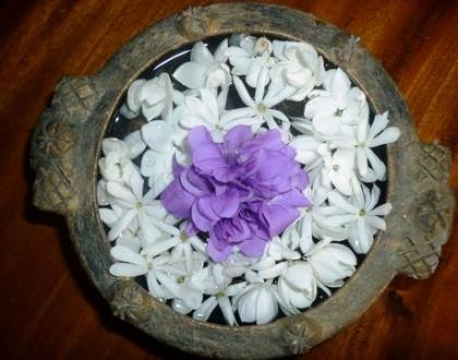 Rangoli: Violet Flowers