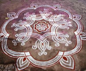Padi kolam
