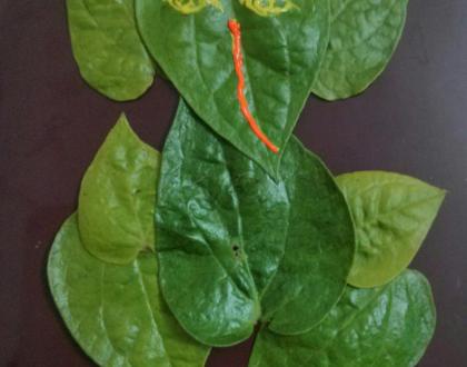 Rangoli: Leaf ganesha 