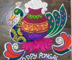 Pongal rangoli 