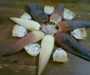 Banana Flower