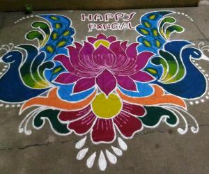 Pongal kolam