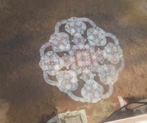 Padi Kolam