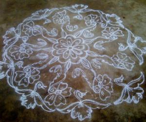 Rangoli: birds