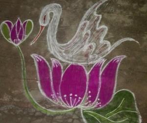 Swan with lotus 