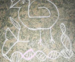 small chikku kolam 3