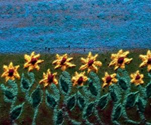 sunflowers